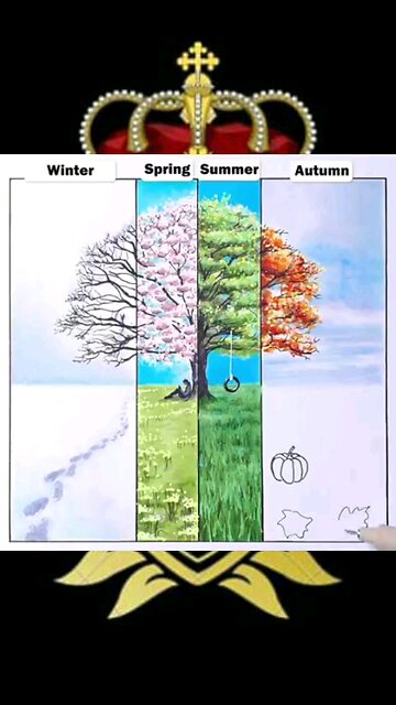 Drawing af diferen art moder 🎨