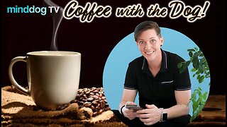 Queerly Attached Again- EP988