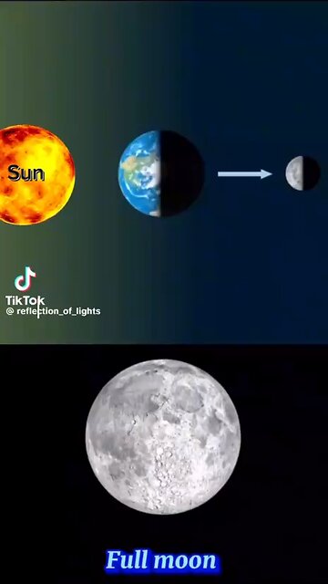 Display only - Reflection of Light