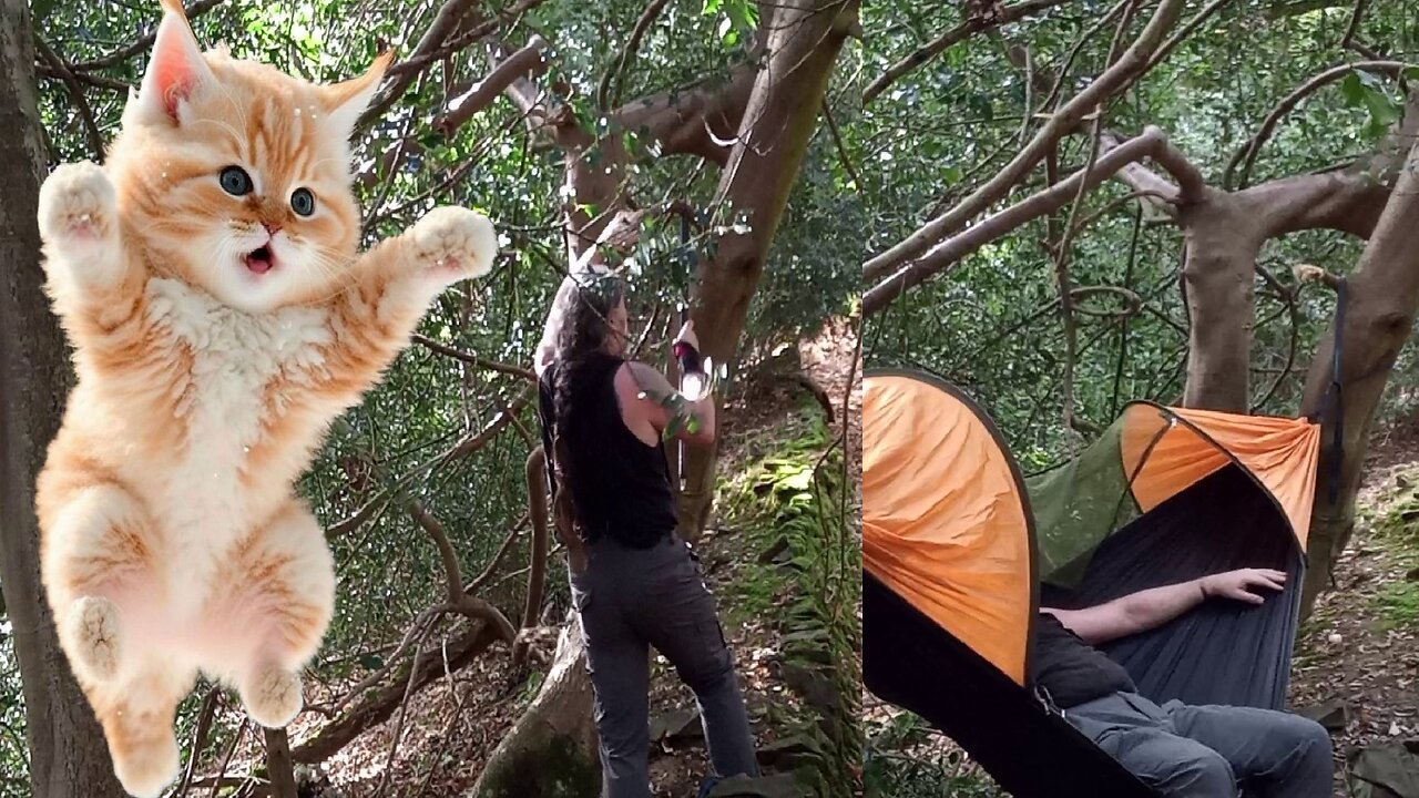 03, pictching camp , hammocks new home, holly