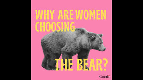 Luxury Beliefs: Why Women Prefer Bears Over Men?!