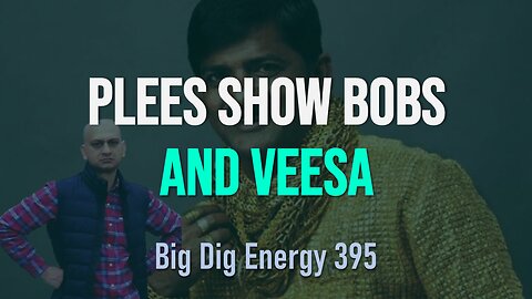 Big Dig Energy 395: Plees Show Bobs and Veesa