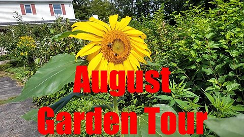 Garden Tour: August