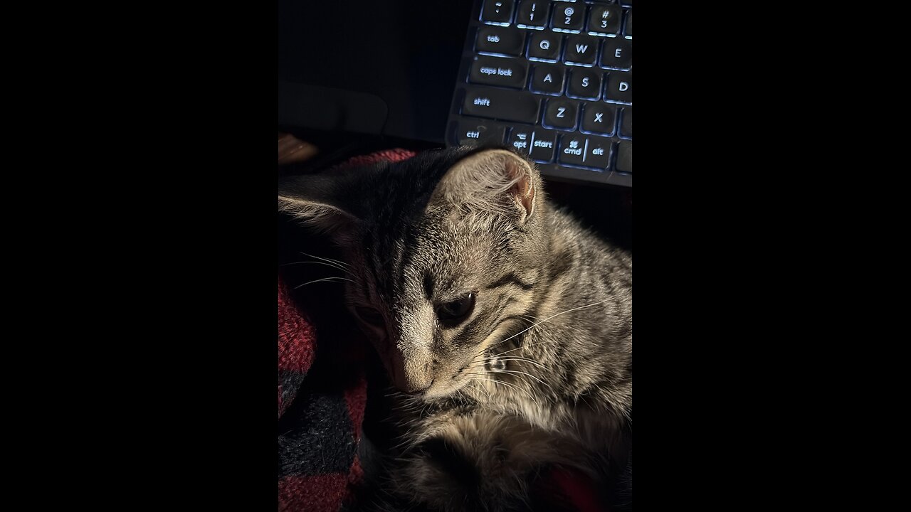 Episode 3004 CWSA 10/30/25