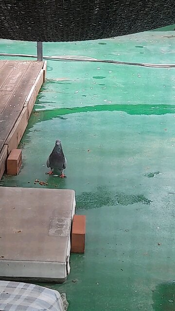 20251011. God Is Love.