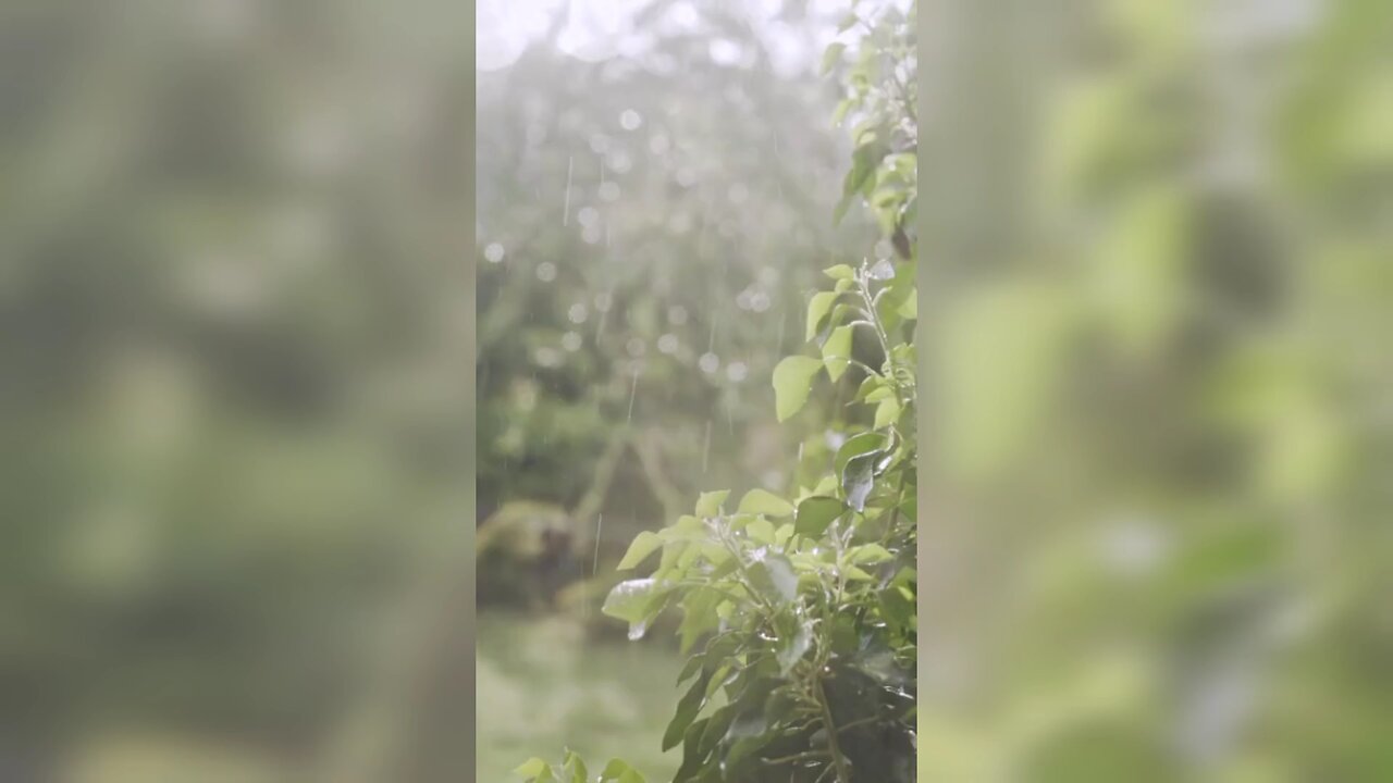 It's raining🌧🌧