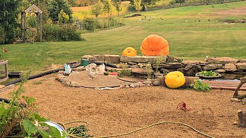 Turkey BLOCKADE UPGRADE! _ Natural Fencing! // Whitt Acres