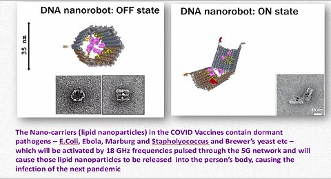 THE MEDICAL DETAIL: HOW THE NANOTECHNOLOGY IN THE COVID VACCINES WILL CAUSE THE NEXT 2025 PANDEMIC