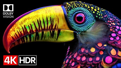 The Most Stunning 4K HDR 60fps Dolby Vision Video Yet (4K/8K TV)