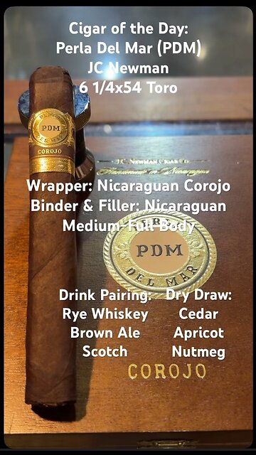Perla Del Mar Corojo (PDM) (JC Newman) 6 1/4x54 Toro #CigarOfTheDay #CigarReview #Shorts #Short