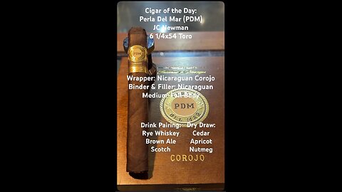Perla Del Mar Corojo (PDM) (JC Newman) 6 1/4x54 Toro #CigarOfTheDay #CigarReview #Shorts #Short