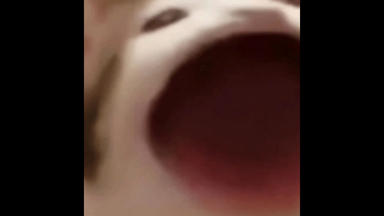 Backroom Chase Meme Cat