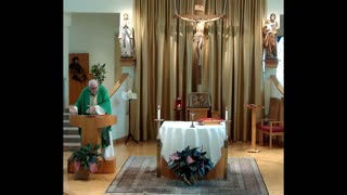Homily for the 26th Sunday in Ordinary Time "C"