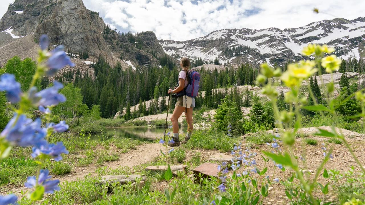 How Its Done [instrumental]