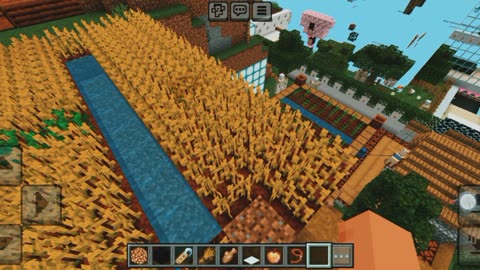 My all farm in Minecraft Game