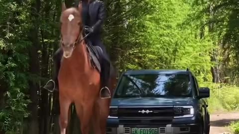 汗血豹马 为热爱 要勇往直前😘❤️_doris _taotaoaima _horseriding _horsevideo _horseride _horserider _horses _horse