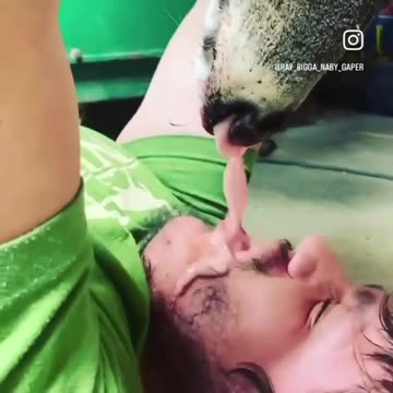 Do you know any deer hunters who have done this?