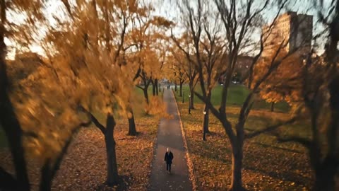 Metal Allocation Strategy: How to Build a Balanced Metals Portfolio