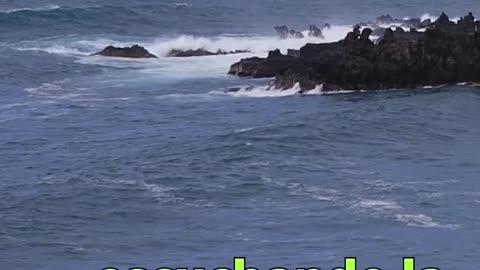 😊 229 “ERES GUIADO HACIA TU MANIFESTACIÓN” Salmo 32:8 😊