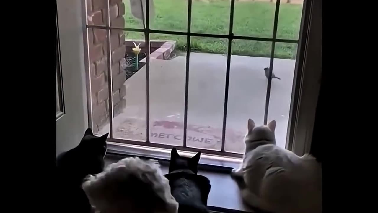 the perfect combo! 🎶 🤣