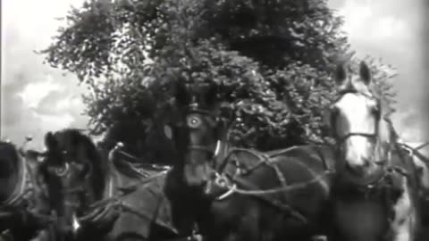 [TRACTORS, STEAM AND GASOLINE, AND HORSES] - [TRACTORS, STEAM AND GASOLINE, AND HORSES] - fc-fc-1193