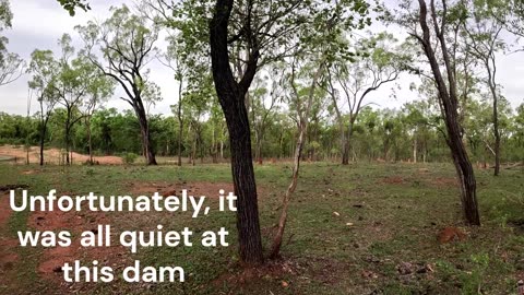 Solo hunting and fossicking trip to FNQ - Part 1