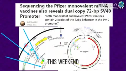Pfizer’s Covid shot for children had twice the concentration of cancer inducing SV40