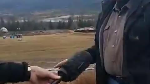 📌 Section: Independent Witness Interviews (Early Seizure & Cull Onset)