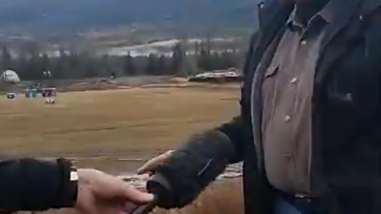 📌 Section: Independent Witness Interviews (Early Seizure & Cull Onset)