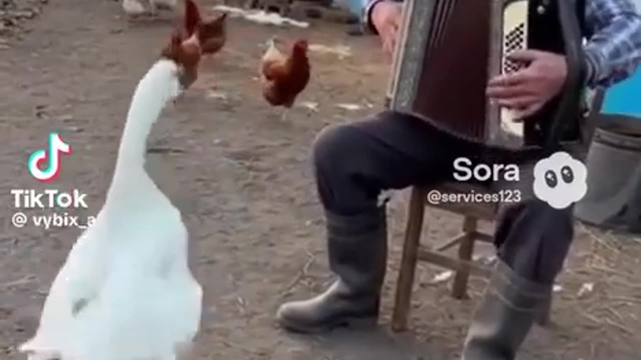 If he dances like that, then how can you cut him? He must live forever.