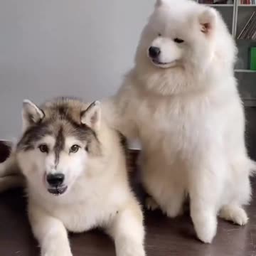 Calm down it’s just a photo 😊