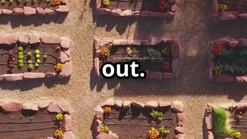 Grow Food Year-Round: 7 Survival Garden Setups That Work in Any Climate