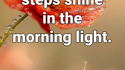 Even the smallest steps shine in the morning light #snail #meditationaid #relaxing