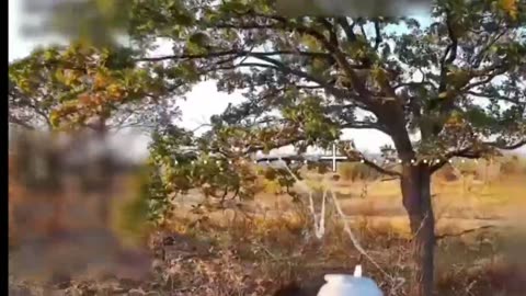 Daily hohols' slaughter🐷