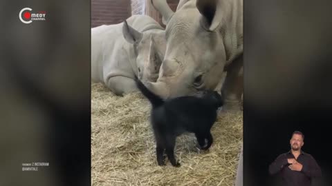 Filmax Cafe, TVC Reality, Comedy Channel Extra - fragmenty emisji (02.01.26)