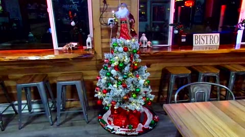 Christmas Tree at the Shoreline Inn 12/13/25: