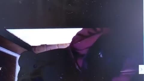 Otokun Panther on Tiktok (1)