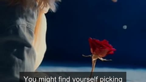 Daily Horoscope | Scorpio 🌟