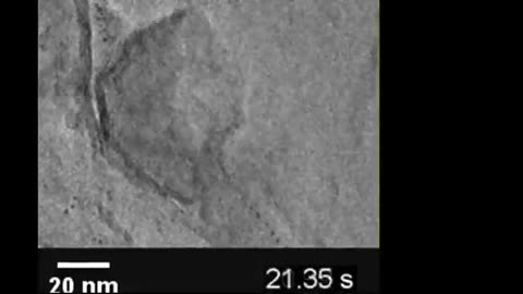 PAYLOAD - NANOCAPSULES 2