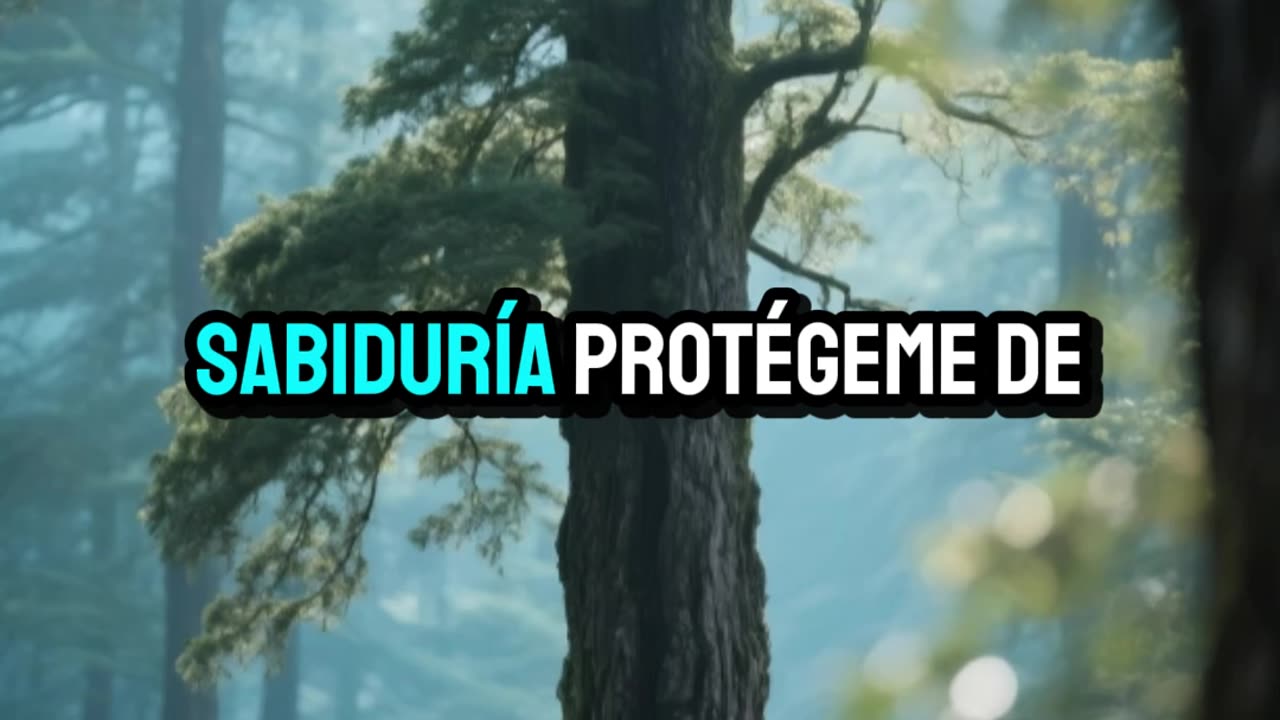 Señor, guarda mi vida hoy