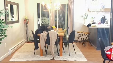 21BADBITCH DRUNK AS A SKUNK PERFORMS FOR THE CAMERA 3RD SHIFT