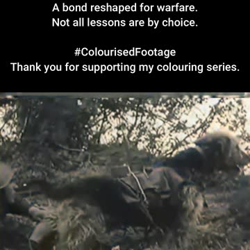 Battlefield Training in Motion #ColourisedHistory