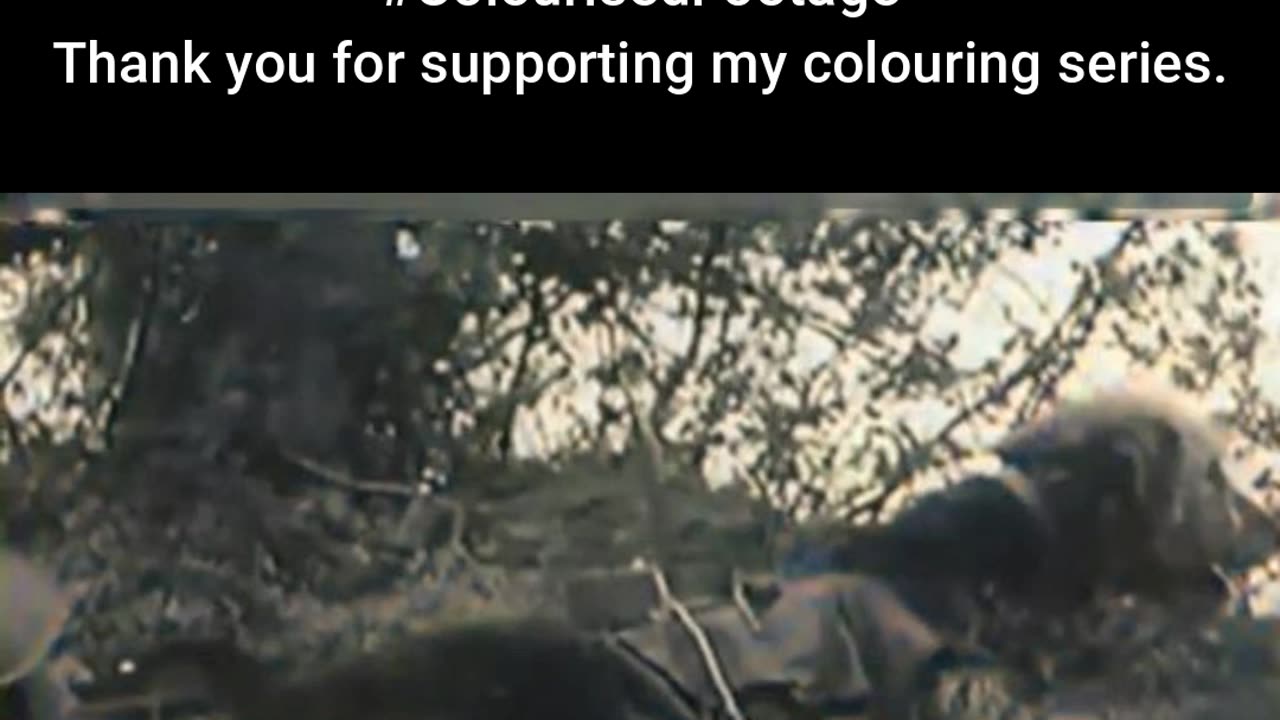 Battlefield Training in Motion #ColourisedHistory