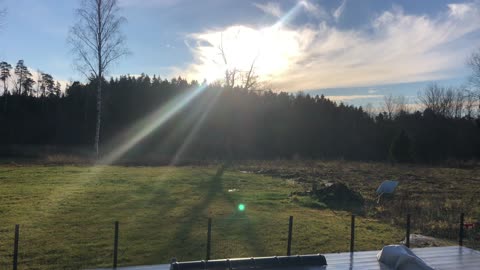 Sharing a beautiful sunny moment☀️