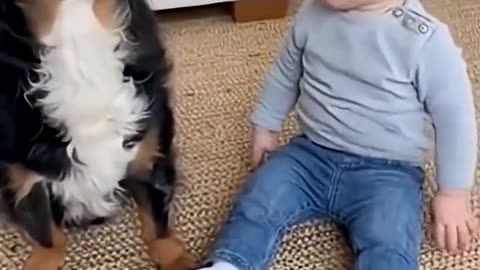 Baby Barks Back! 😂