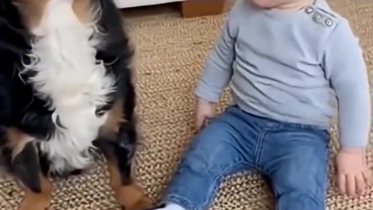 Baby Barks Back! 😂