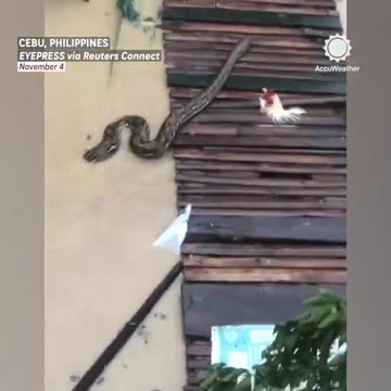 Philippines declares a state of emergency after Typhoon Kalmaegi leaves at least 114 dead