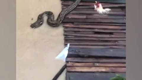 Philippines declares a state of emergency after Typhoon Kalmaegi leaves at least 114 dead