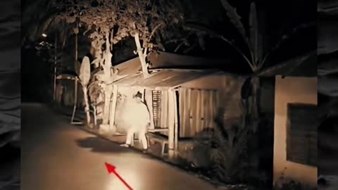 😱👻 The Scariest Paranormal Videos You'll See Today! | TheHauntingHour