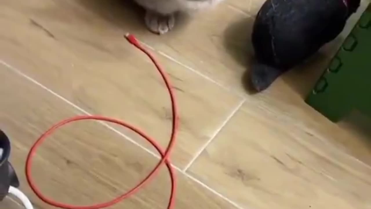 It's mine